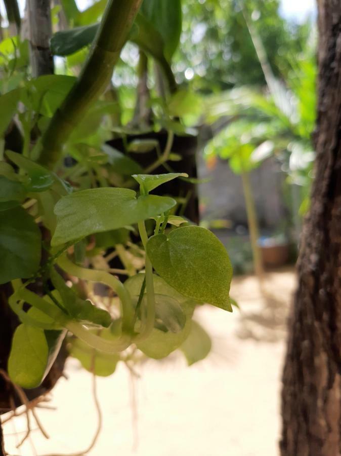 Connect Appartement Phan Thiết Buitenkant foto