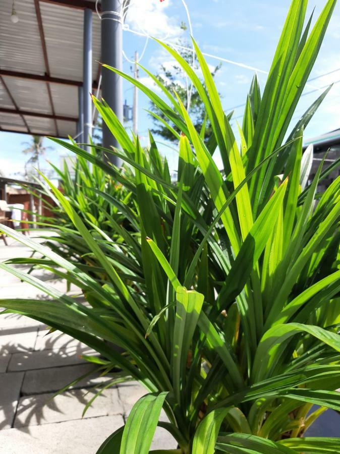 Connect Appartement Phan Thiết Buitenkant foto